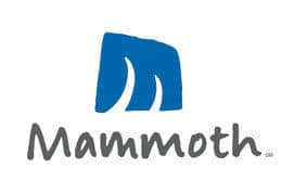 mammoth mountain condo rentals